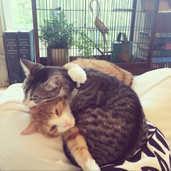 Meet your Posher, Kelly - Picture 2 of 8